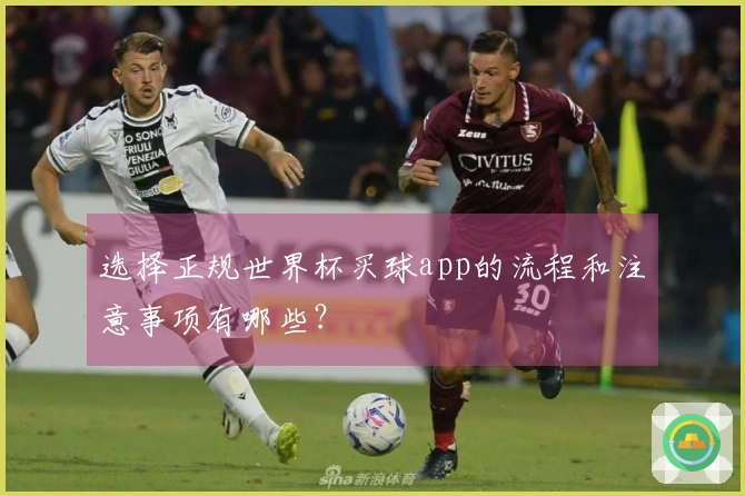 选择正规世界杯买球app的流程和注意事项有哪些?